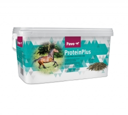 Pavo ProteinPlus - Dietary protein deficit supplement