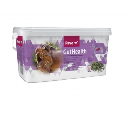 Pavo GutHealth - For a stable gut function