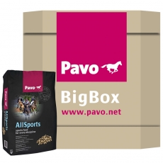 Pavo AllSports - The sport feed for every discipline